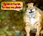 Avatar de l’utilisateur