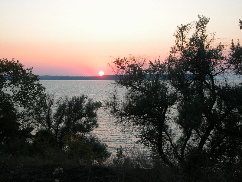 DSCN0788.JPG