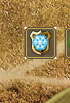 Capture bouclier glacé.PNG
