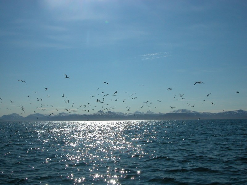 DSCN6057.JPG