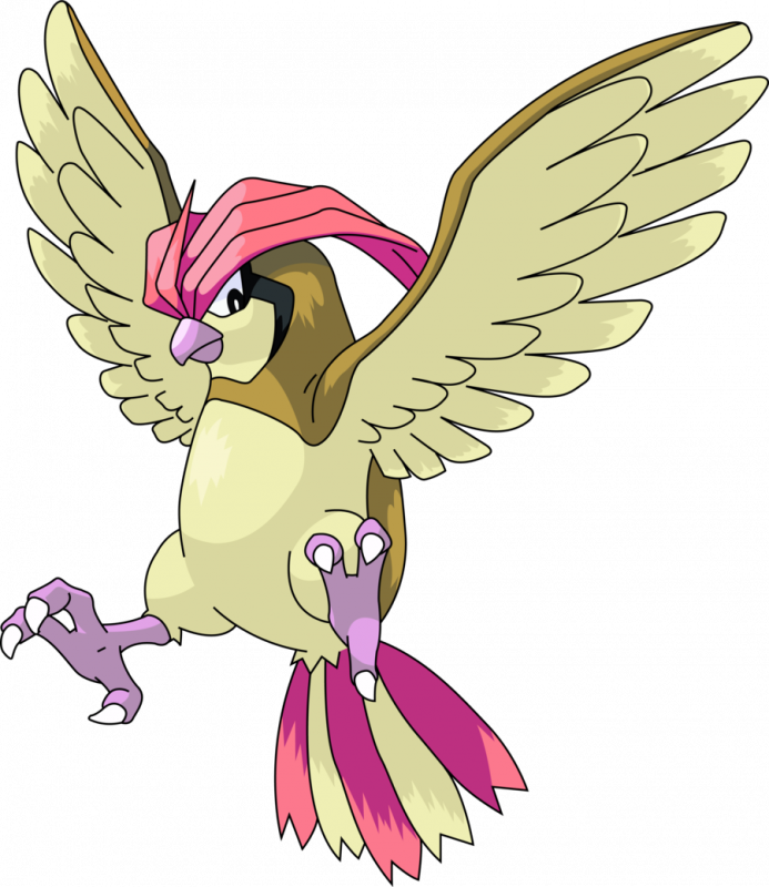 Pidgeotto.png